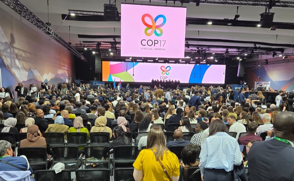 VSG Participates in International COP17 Conference in Armenia